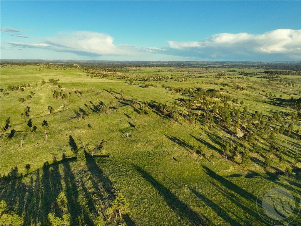 600 N Delphia Rd., Roundup, MT 59072 photo 5