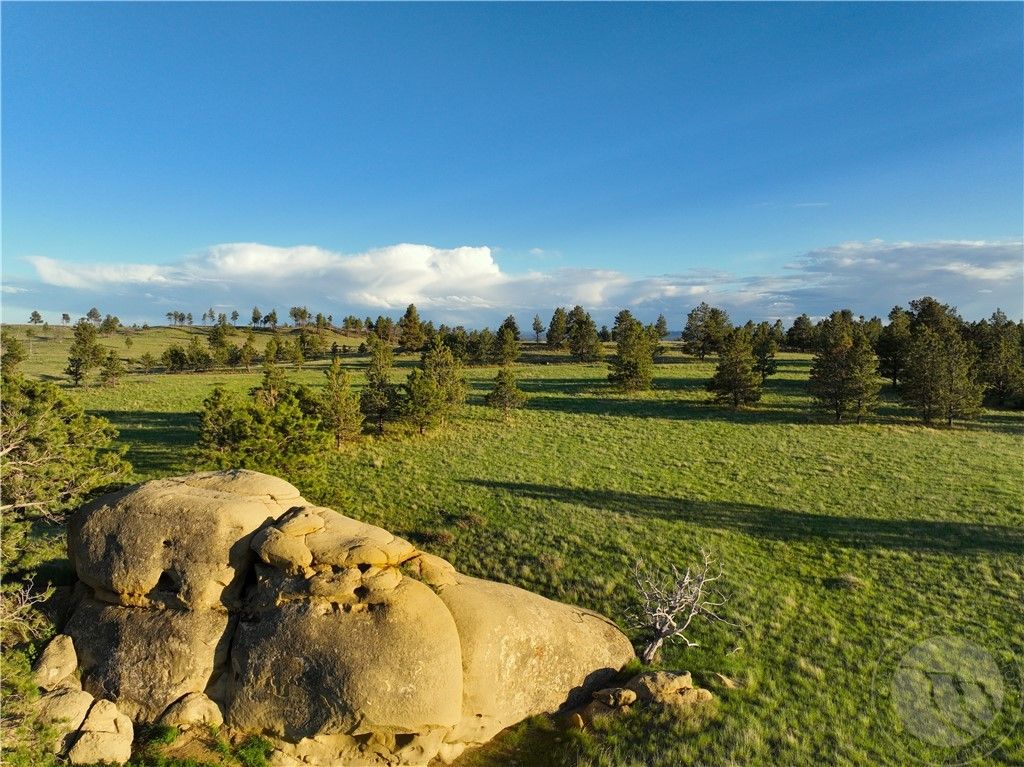 600 N Delphia Rd., Roundup, MT 59072 photo 6