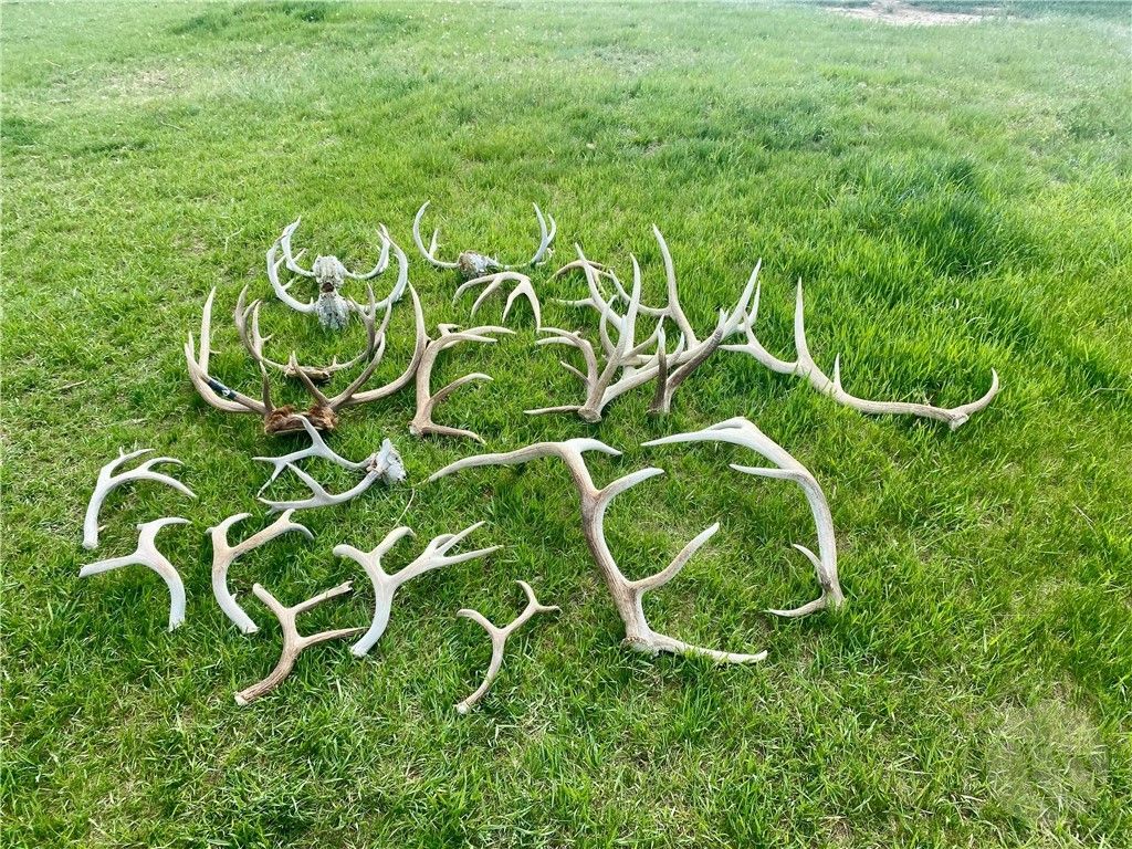 600 N Delphia Rd., Roundup, MT 59072 photo 7