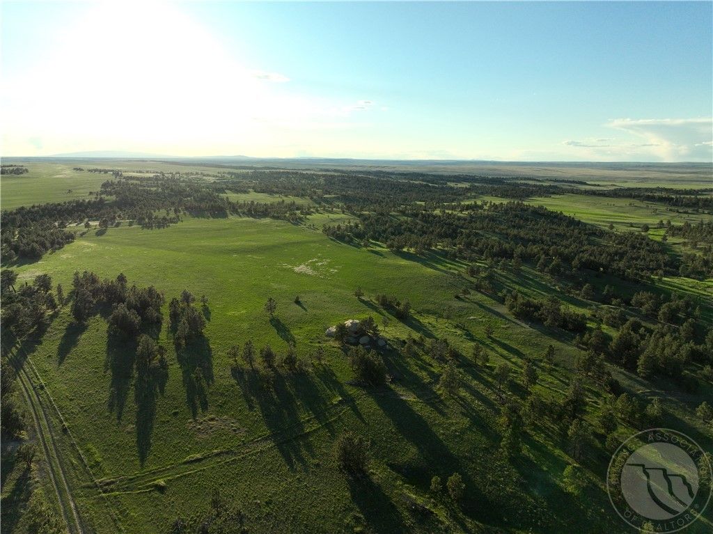 600 N Delphia Rd., Roundup, MT 59072 photo 8