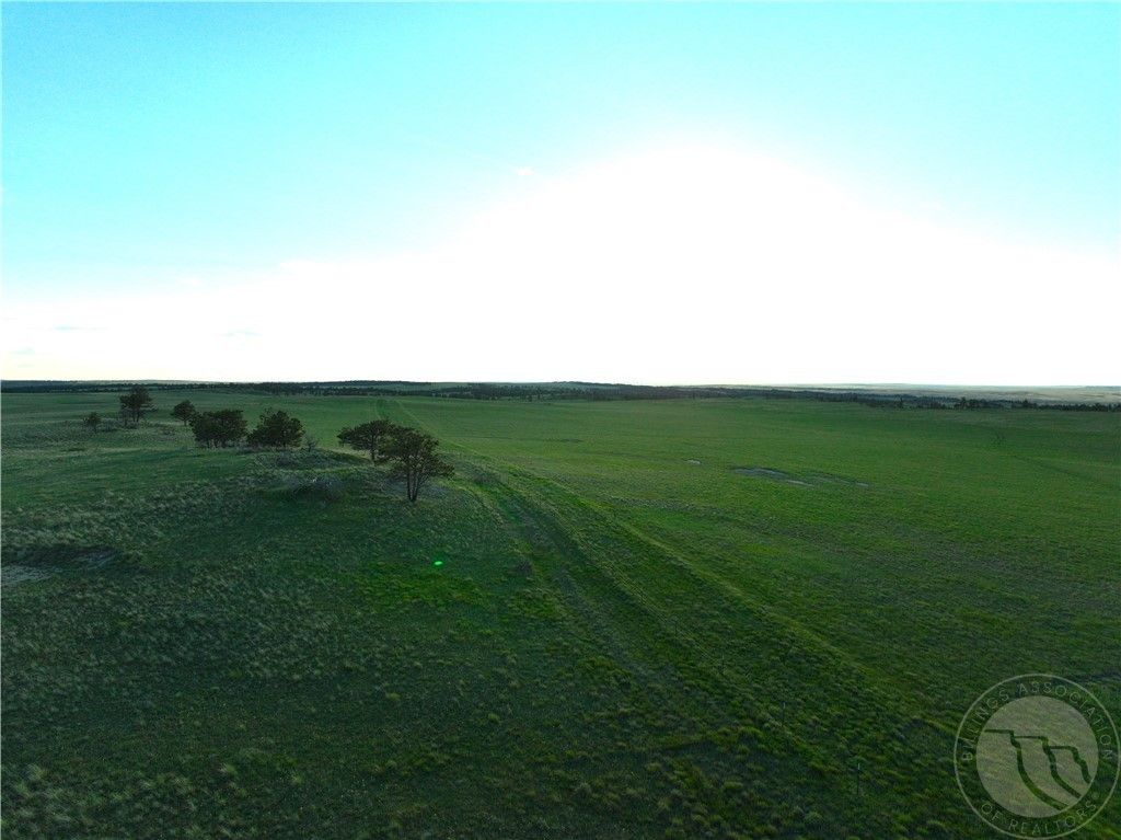 600 N Delphia Rd., Roundup, MT 59072 photo 9