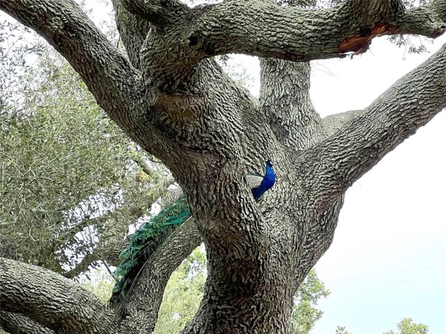 1518 County Road 307, El Campo, TX 77437