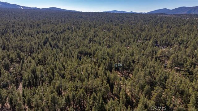 1901 State Court, Big Bear City, CA 92314