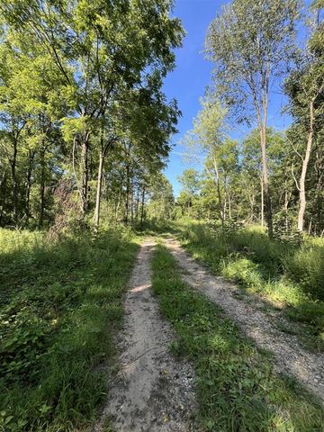 128 Washington Street, Galesburg, MI 49053