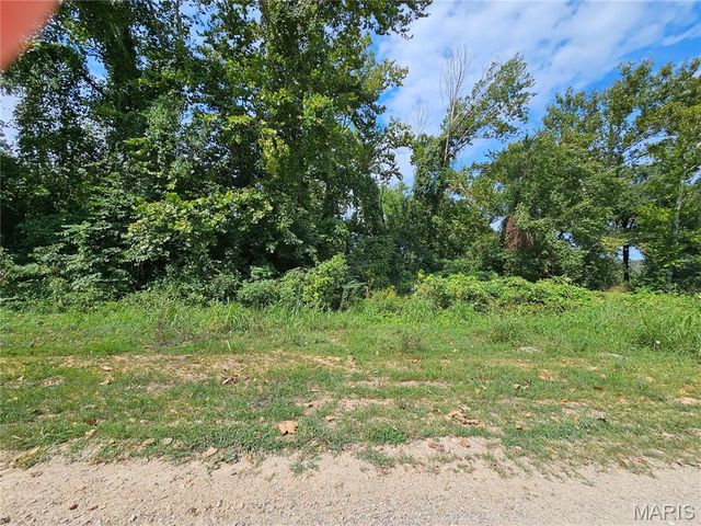 Lot 1 & 2 Ext Deer Run Plat 5, Van Buren, MO 63965