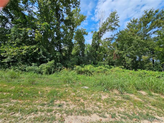 Lot 1 & 2 Ext Deer Run Plat 5, Van Buren, MO 63965