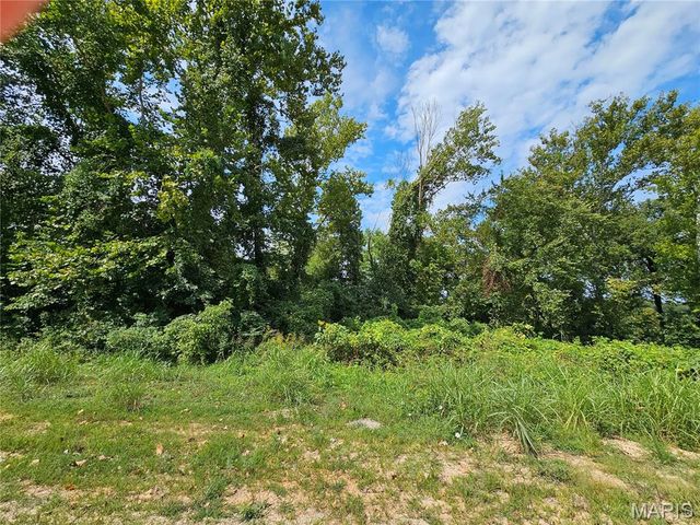 Lot 1 & 2 Ext Deer Run Plat 5, Van Buren, MO 63965
