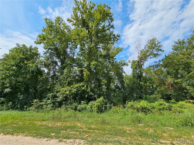 Lot 1 & 2 Ext Deer Run Plat 5, Van Buren, MO 63965