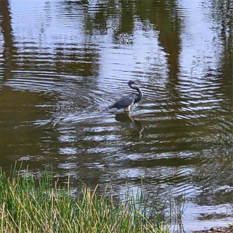 14016 WILLOW GLEN COURT 212, Port Charlotte, FL 33953