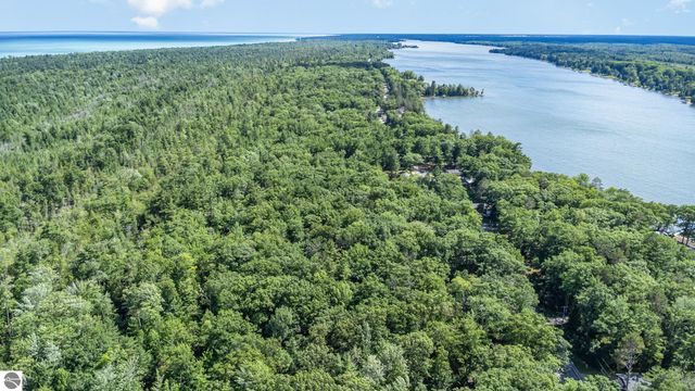 3551 E Cedar Lake Drive, Greenbush, MI 48738