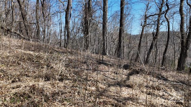 1.1 Acre Blockaders Den Road, Columbus, NC 28722