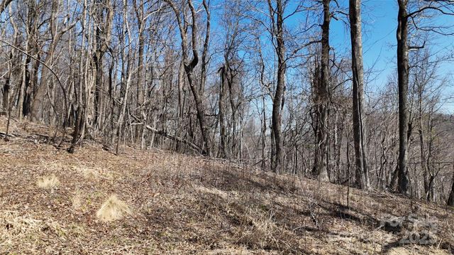 1.1 Acre Blockaders Den Road, Columbus, NC 28722