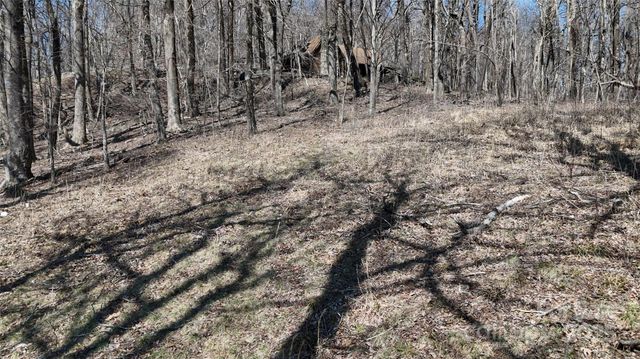 1.1 Acre Blockaders Den Road, Columbus, NC 28722
