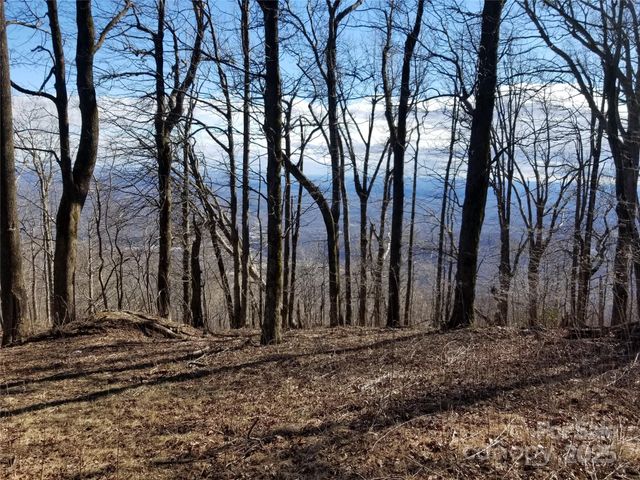 1.1 Acre Blockaders Den Road, Columbus, NC 28722