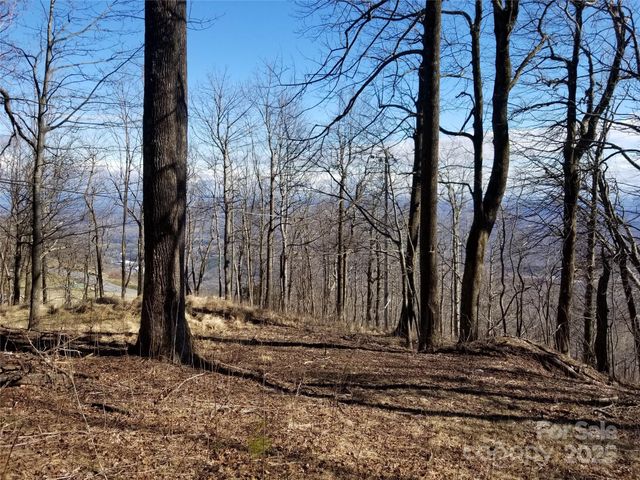 1.1 Acre Blockaders Den Road, Columbus, NC 28722