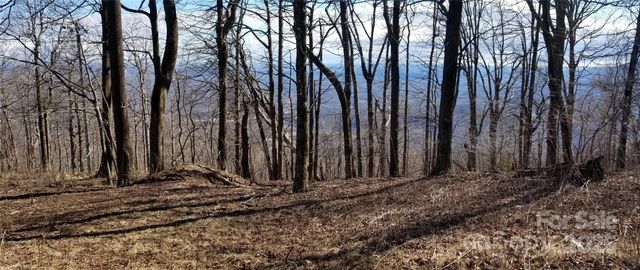 1.1 Acre Blockaders Den Road, Columbus, NC 28722