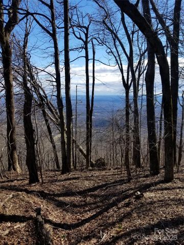 1.1 Acre Blockaders Den Road, Columbus, NC 28722