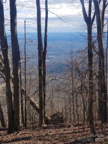 1.1 Acre Blockaders Den Road, Columbus, NC 28722