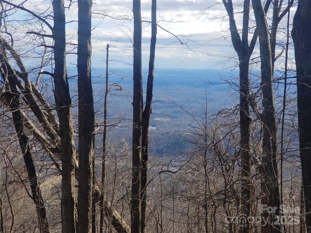 1.1 Acre Blockaders Den Road, Columbus, NC 28722