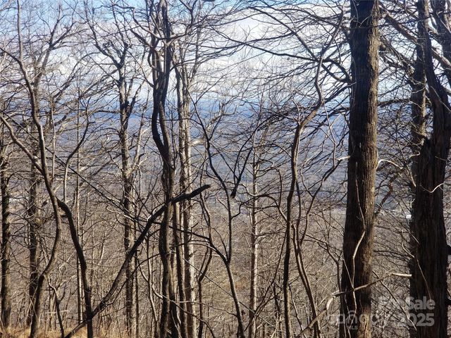 1.1 Acre Blockaders Den Road, Columbus, NC 28722