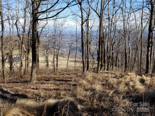 1.1 Acre Blockaders Den Road, Columbus, NC 28722