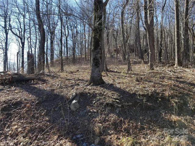 1.1 Acre Blockaders Den Road, Columbus, NC 28722