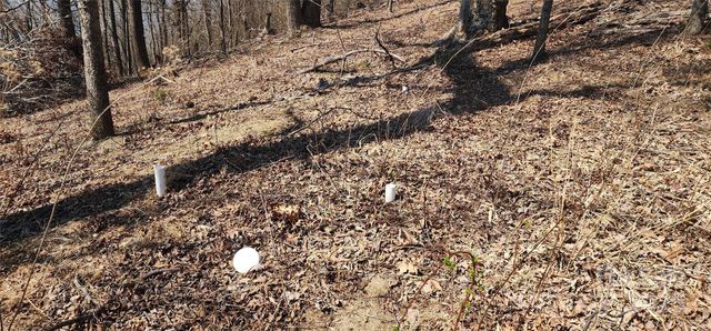 1.1 Acre Blockaders Den Road, Columbus, NC 28722