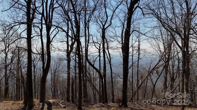 1.1 Acre Blockaders Den Road, Columbus, NC 28722