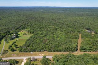 38 +/- Acres on GA Hwy 157, Menlo, GA 30731