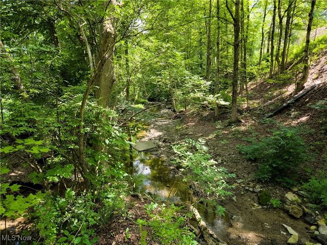 49088 Little Mcmahon Creek Road, St Clairsville, OH 43950