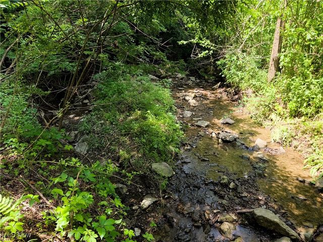 49088 Little Mcmahon Creek Road, St Clairsville, OH 43950