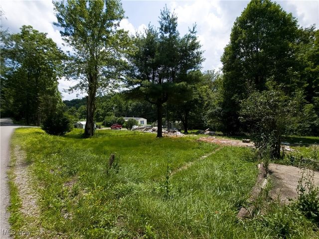 49088 Little Mcmahon Creek Road, St Clairsville, OH 43950