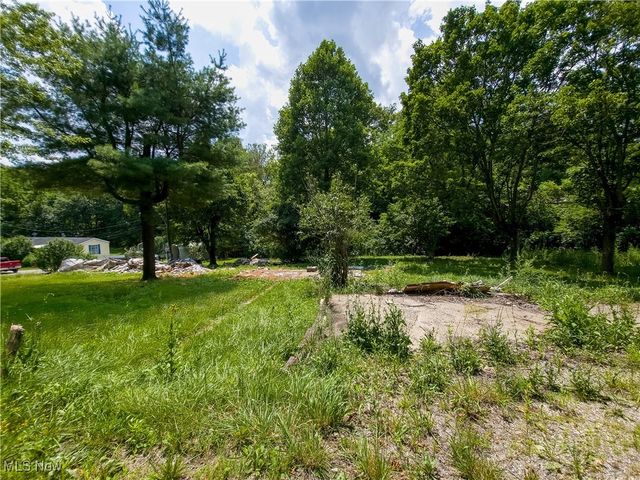 49088 Little Mcmahon Creek Road, St Clairsville, OH 43950