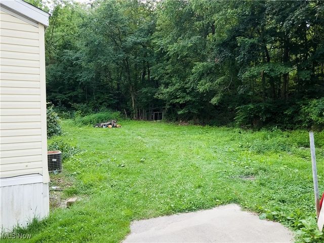 49088 Little Mcmahon Creek Road, St Clairsville, OH 43950