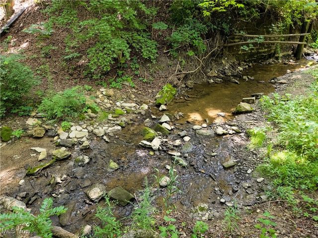 49088 Little Mcmahon Creek Road, St Clairsville, OH 43950