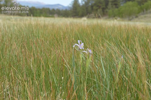344 Valley Road, Guffey, CO 80820