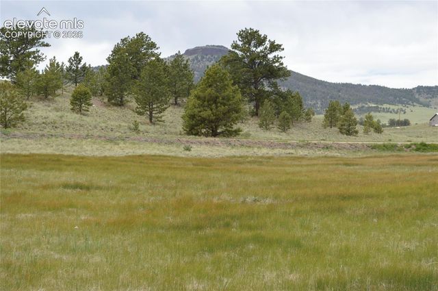 344 Valley Road, Guffey, CO 80820