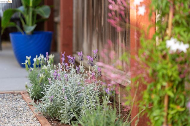 1200 El Centro Ave, Oakland, CA 94602