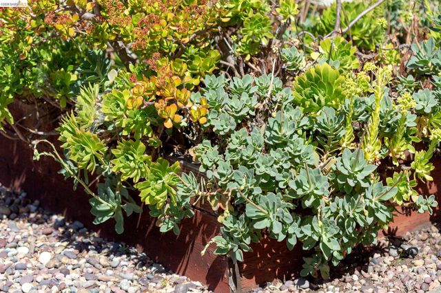 1200 El Centro Ave, Oakland, CA 94602