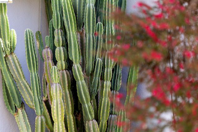 1200 El Centro Ave, Oakland, CA 94602