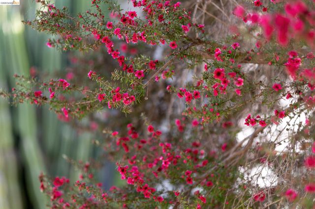 1200 El Centro Ave, Oakland, CA 94602