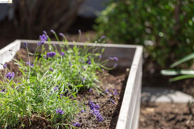 1200 El Centro Ave, Oakland, CA 94602