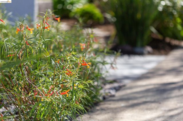 1200 El Centro Ave, Oakland, CA 94602