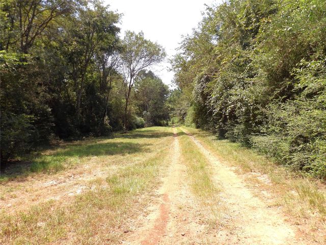 2399 Cr 1885, Grapeland, TX 75844