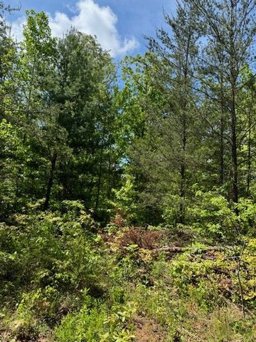 Lot 12 Paradise, Marble, NC 28905