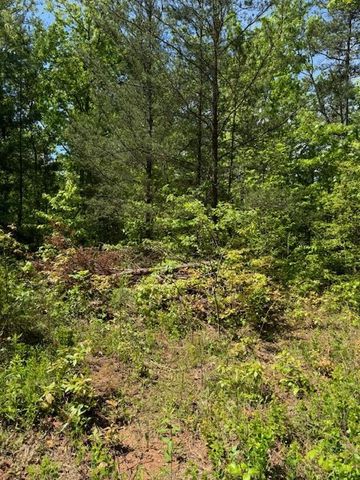 Lot 12 Paradise, Marble, NC 28905
