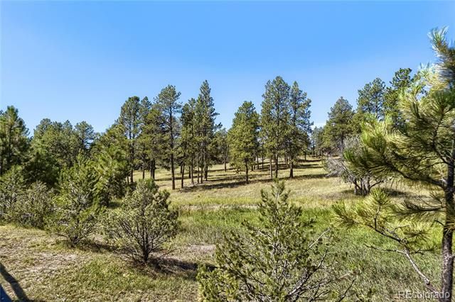 5469 Fox Sparrow Road, Parker, CO 80134
