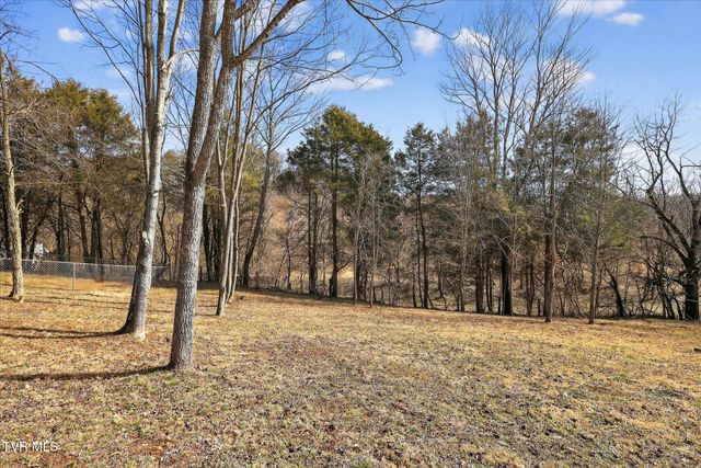 353 Valley Drive, Church Hill, TN 37642