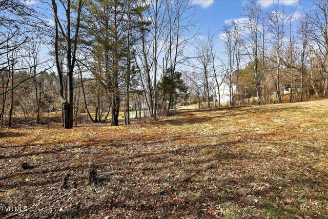 353 Valley Drive, Church Hill, TN 37642