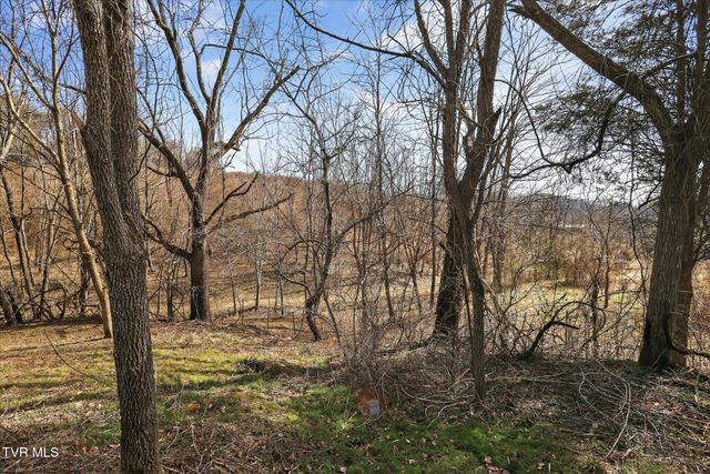 353 Valley Drive, Church Hill, TN 37642